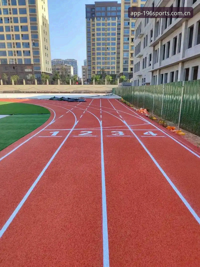 揭秘196体育平台：技术评测视角下的专业平台真面目